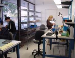 Protype & Production Build